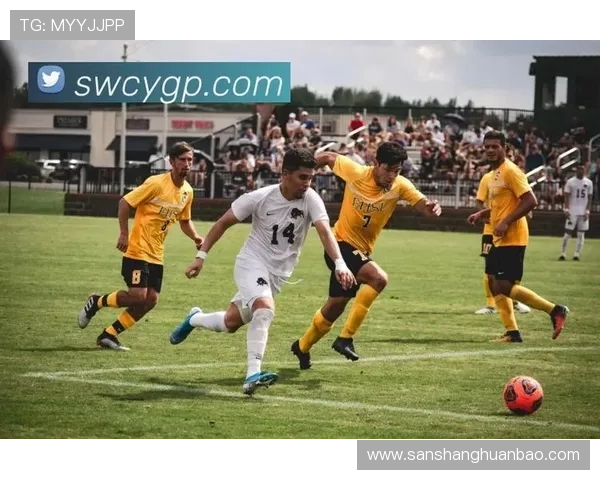 开云体育入口app最新版本下载安装指南，轻松畅享体育赛事直播体验