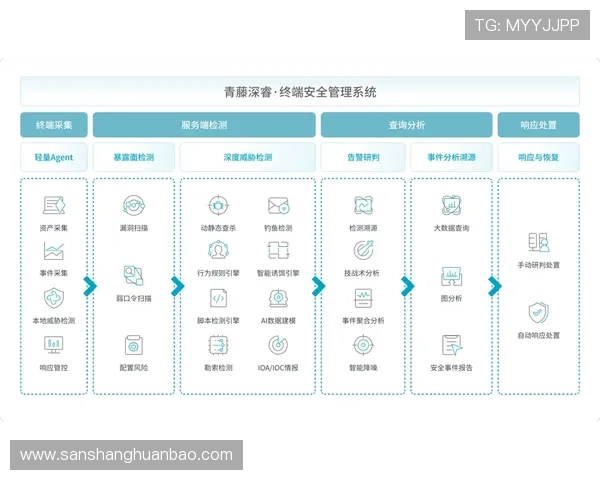 如何在开云手机中安全快速地修改登录账号信息全流程解析