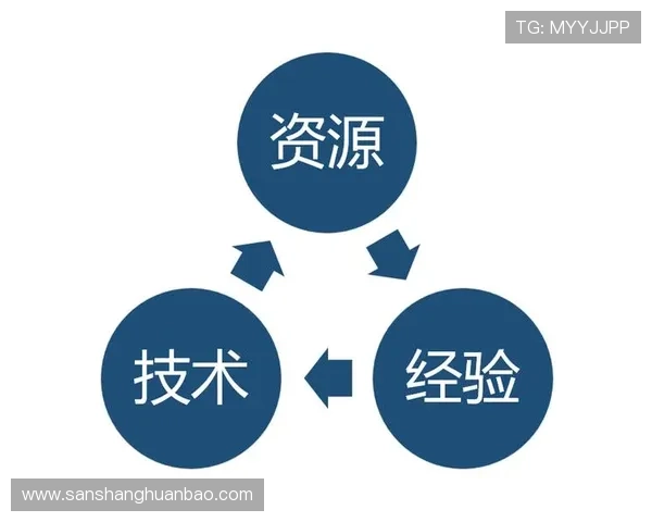开云公司简介：探索开云集团的企业使命、社会责任以及在全球奢侈品市场的战略布局